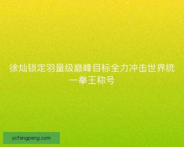 徐灿锁定羽量级巅峰目标全力冲击世界统一拳王称号